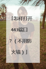 怎样打开443端口?(不用防火墙)