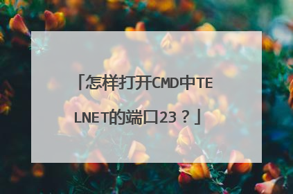 怎样打开CMD中TELNET的端口23?