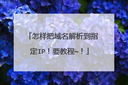 怎样把域名解析到指定IP！要教程~！