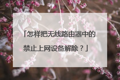 怎样把无线路由器中的禁止上网设备解除？