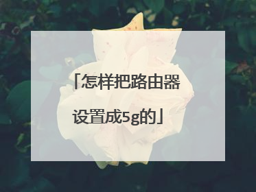 怎样把路由器设置成5g的
