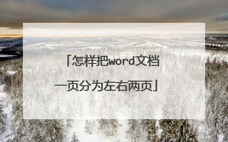 怎样把word文档一页分为左右两页