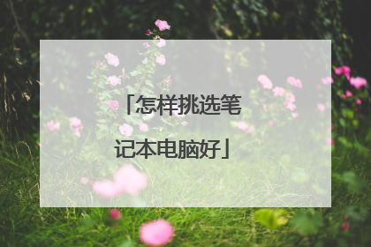 怎样挑选笔记本电脑好