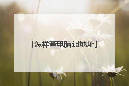 怎样查电脑id地址