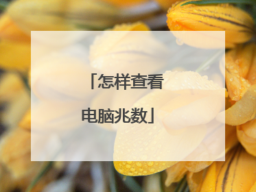 怎样查看电脑兆数