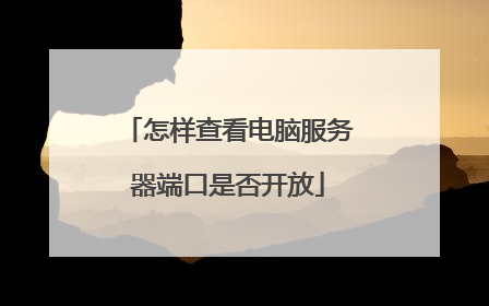 怎样查看电脑服务器端口是否开放