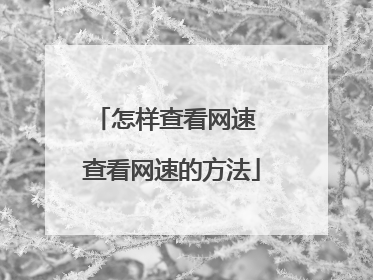 怎样查看网速 查看网速的方法