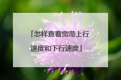 怎样查看宽带上行速度和下行速度