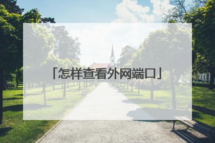 怎样查看外网端口