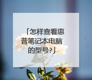 怎样查看惠普笔记本电脑的型号?