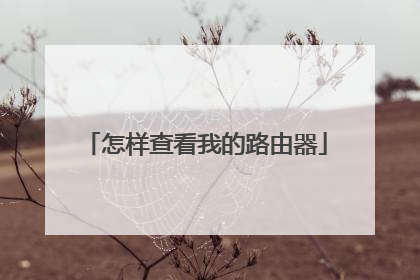 怎样查看我的路由器