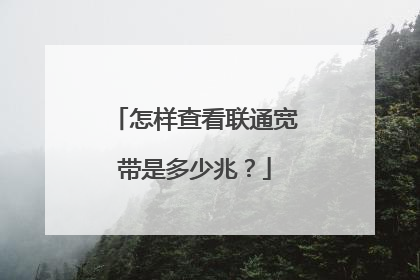 怎样查看联通宽带是多少兆?