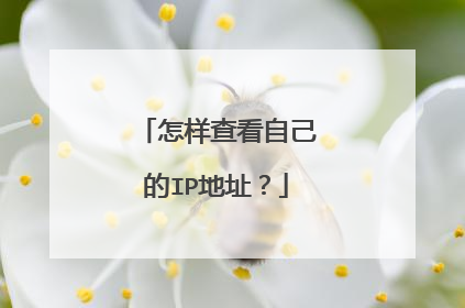 怎样查看自己的IP地址?