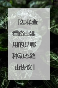 怎样查看路由器用的是哪种动态路由协议