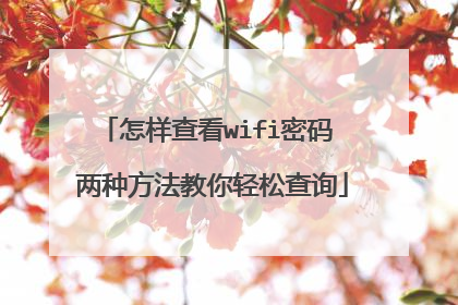 怎样查看wifi密码 两种方法教你轻松查询