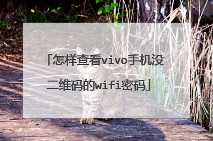 怎样查看vivo手机没二维码的wifi密码