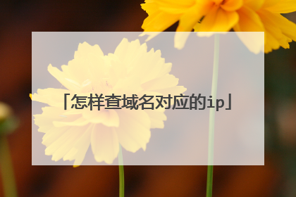怎样查域名对应的ip