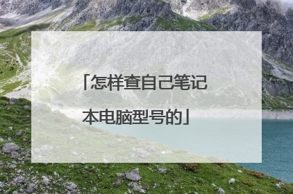 怎样查自己笔记本电脑型号的