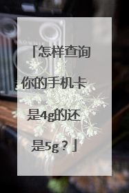 怎样查询你的手机卡是4g的还是5g？