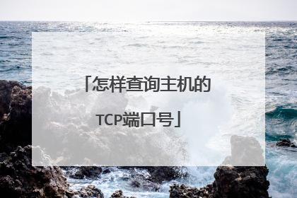怎样查询主机的TCP端口号