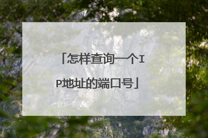 怎样查询一个IP地址的端口号