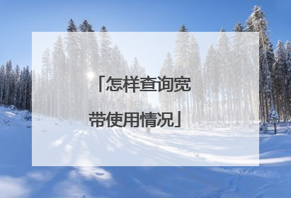 怎样查询宽带使用情况