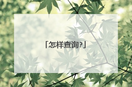 怎样查询?