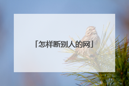 怎样断别人的网