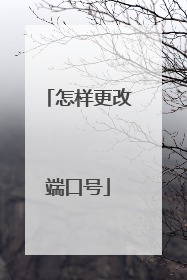 怎样更改端口号