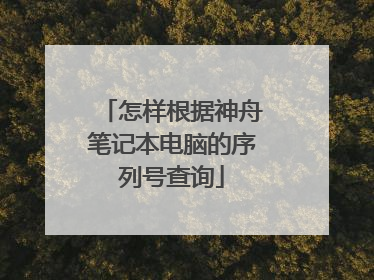 怎样根据神舟笔记本电脑的序列号查询