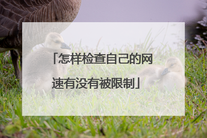 怎样检查自己的网速有没有被限制