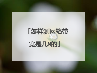 怎样测网络带宽是几M的
