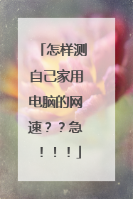 怎样测自己家用电脑的网速??急!!!