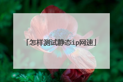 怎样测试静态ip网速