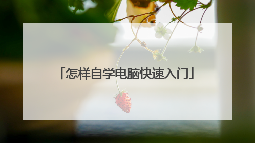 怎样自学电脑快速入门