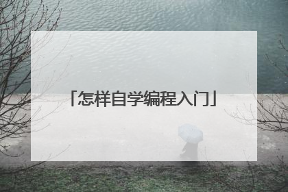 怎样自学编程入门