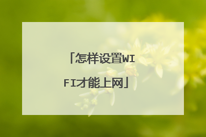怎样设置WIFI才能上网