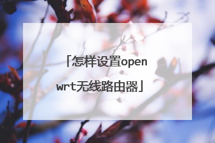 怎样设置openwrt无线路由器