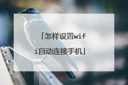 怎样设置wifi自动连接手机