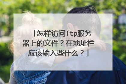 怎样访问ftp服务器上的文件？在地址栏应该输入些什么？
