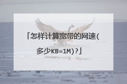 怎样计算宽带的网速(多少KB=1M)?