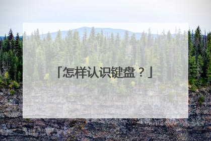 怎样认识键盘？