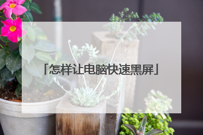 怎样让电脑快速黑屏