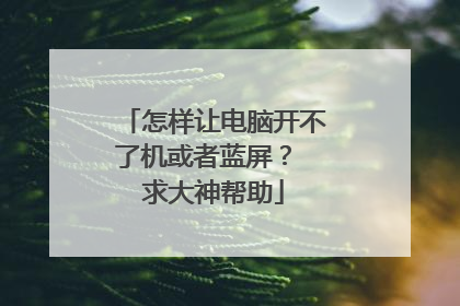 怎样让电脑开不了机或者蓝屏? 求大神帮助