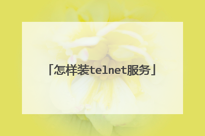 怎样装telnet服务