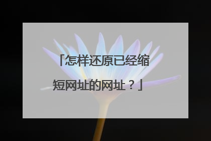 怎样还原已经缩短网址的网址？