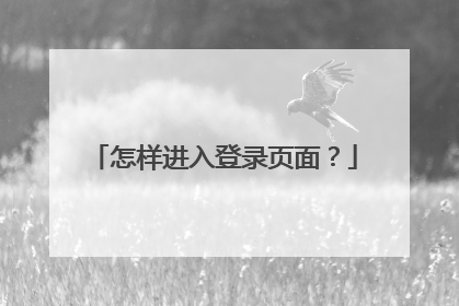 怎样进入登录页面?