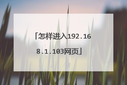 怎样进入192.168.1.103网页