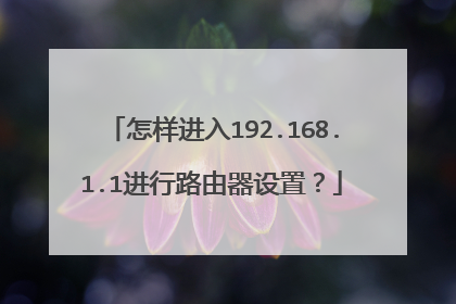 怎样进入192.168.1.1进行路由器设置?