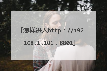 怎样进入http://192.168.1.101:8801